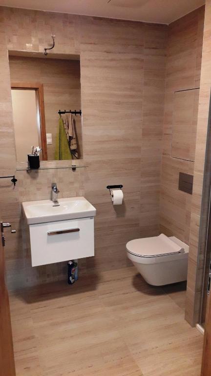 Pobyt v Krkonoších v blízkosti Pece pod Sněžkou room 6